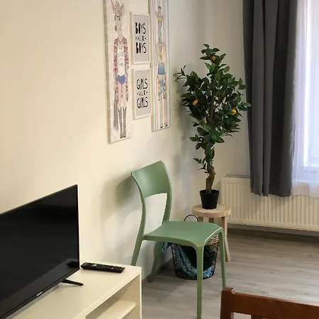 Apartmany Skuherskeho Чеське Будєйовіце